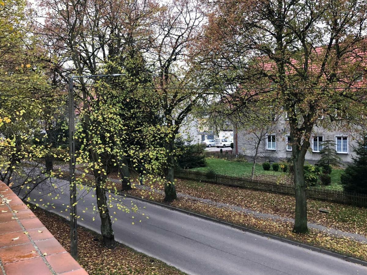Apartament Perla Kartuz Z Sauna Kartuzy Exterior foto